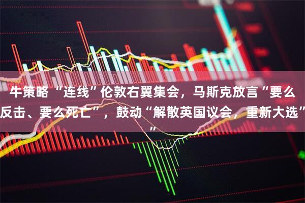 牛策略 “连线”伦敦右翼集会，马斯克放言“要么反击、要么死亡”，鼓动“解散英国议会，重新大选”